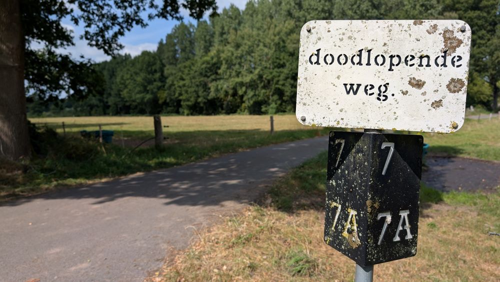 zicht op mensen lopend in een weiland, shot van een drone