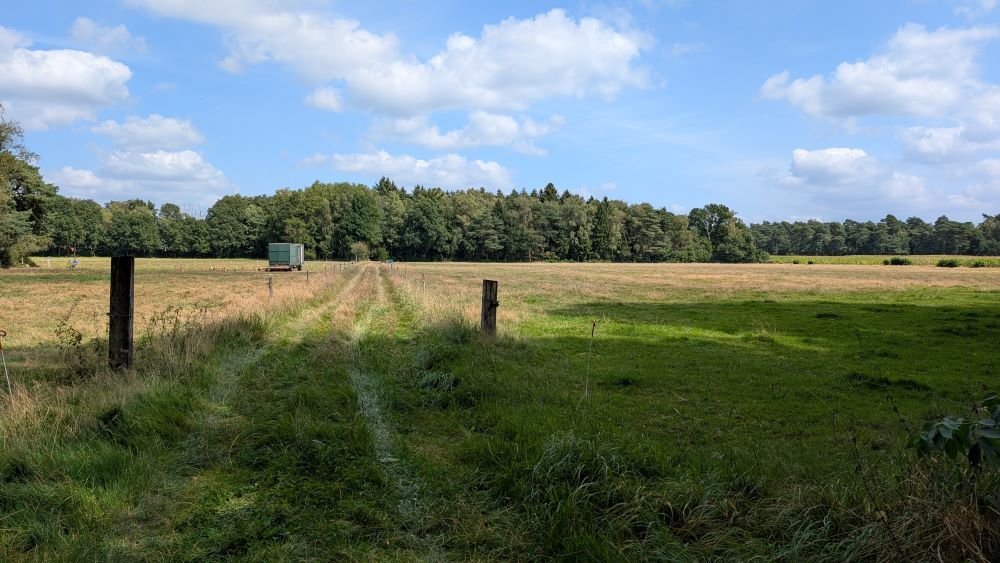 pad tussen de weilanden