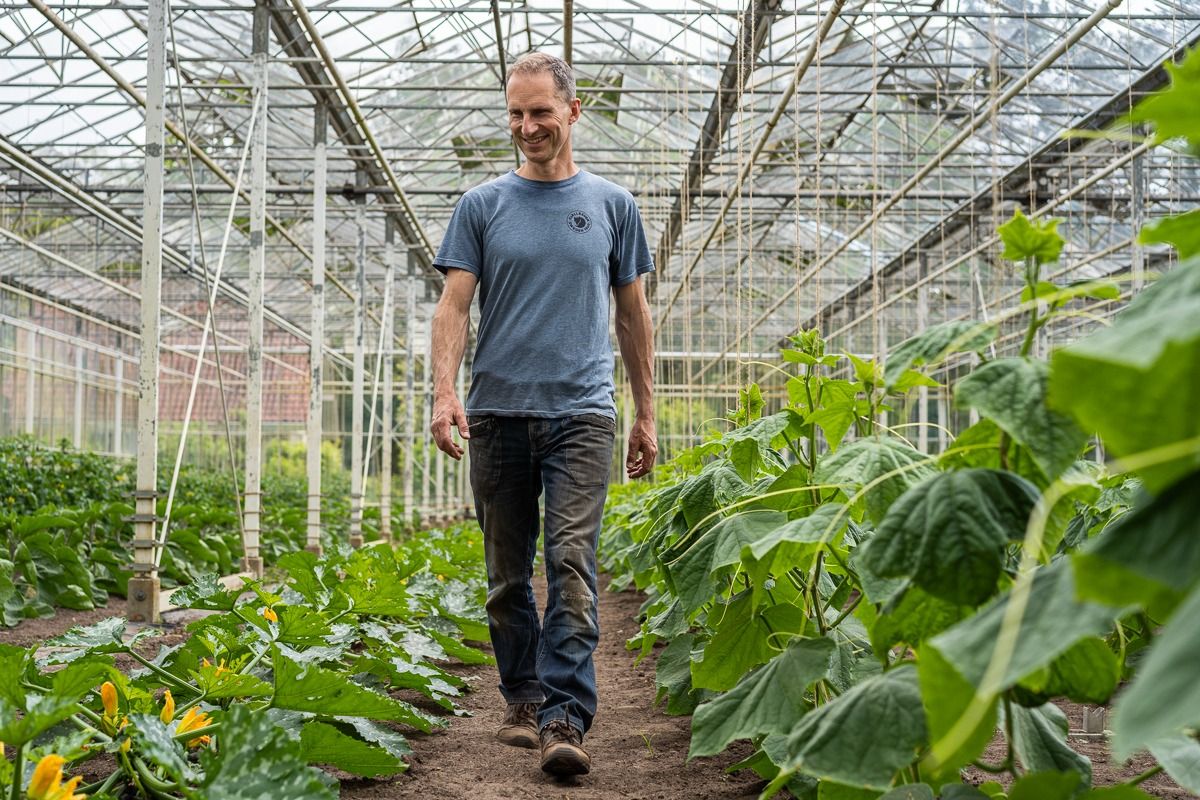 close up van een hand die een kaas coat