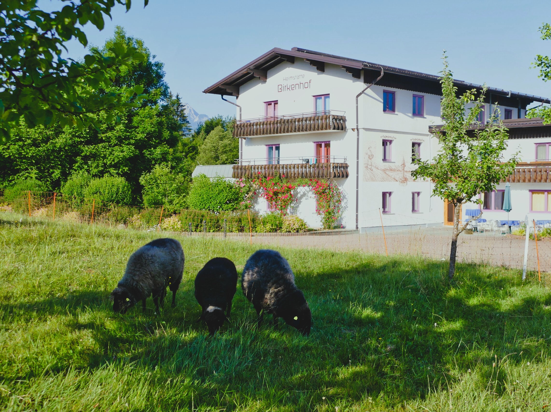 buitenzijde boerderij Birkenhof