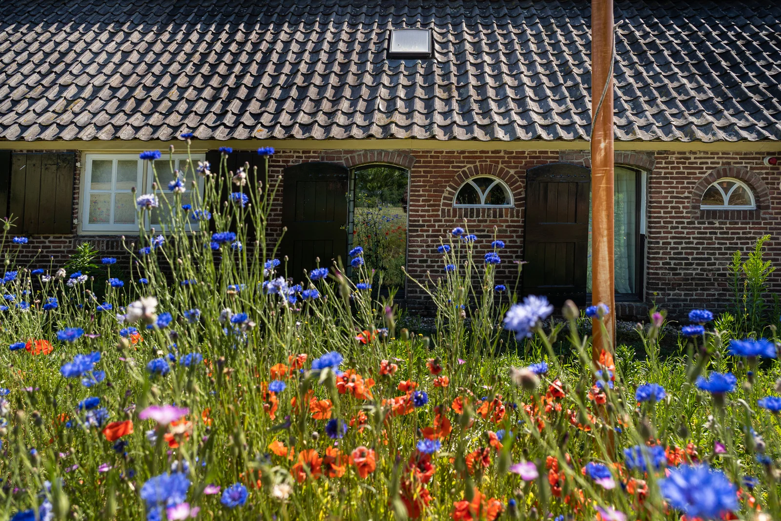 Link naar pagina wonen, foto van locatie Hoogkamp