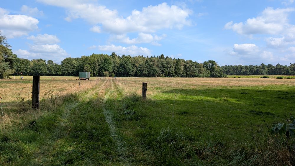 pad tussen de weilanden