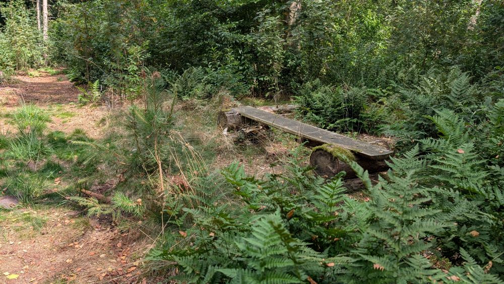 bankje in het bos